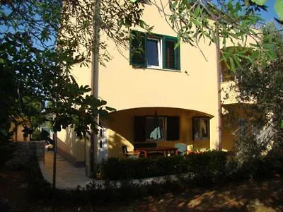 Seaside Laurus