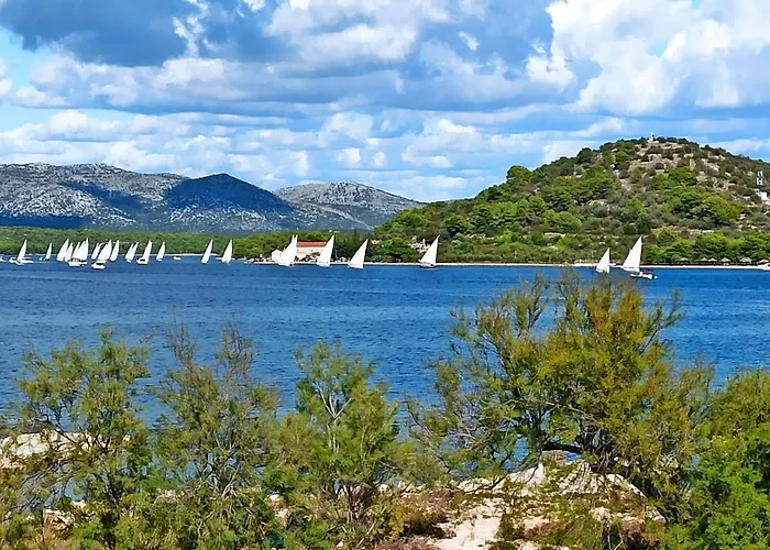 Seaside Laurus Daire Murter