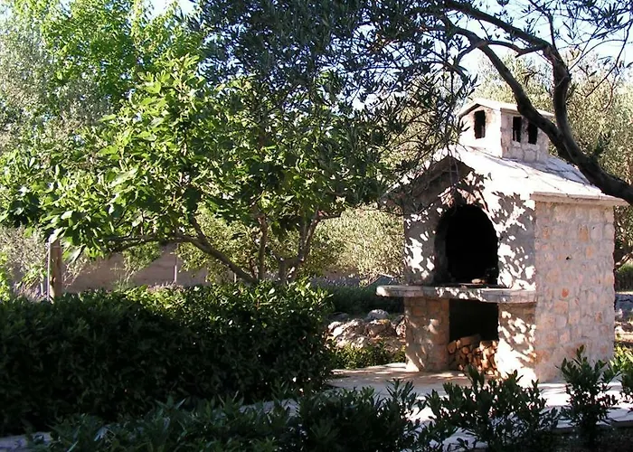 Seaside Laurus * Murter